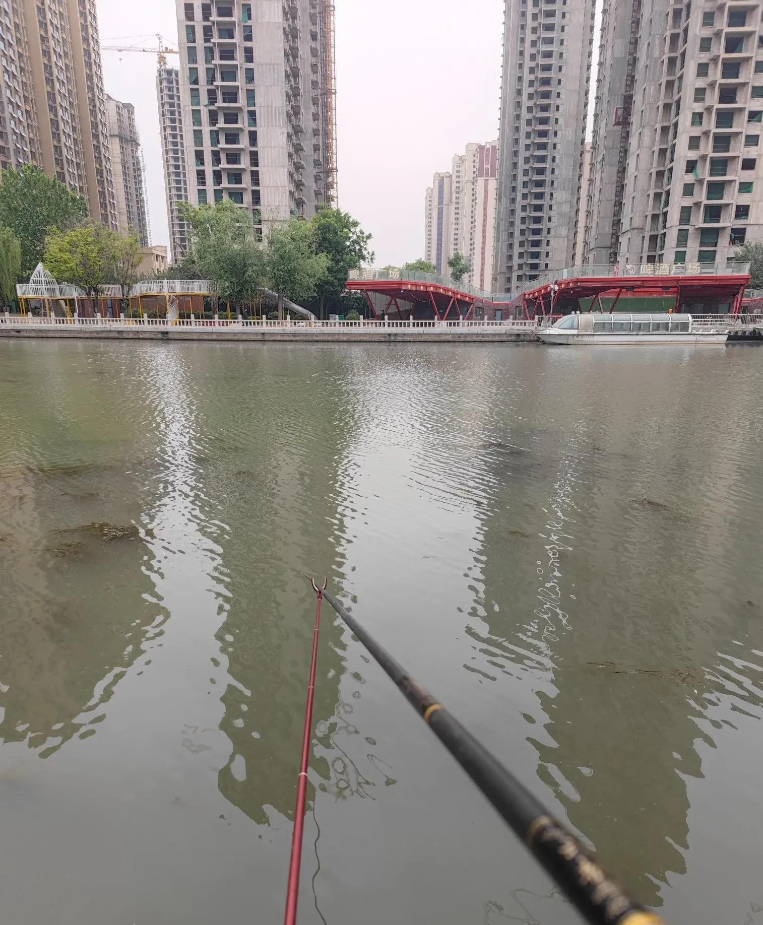 上海钓鱼鱼场(上海钓鱼去处)
