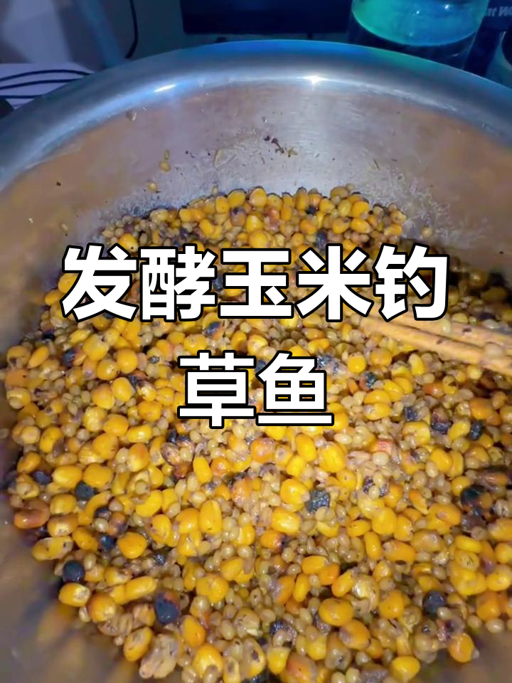 怎么做饵料(简单的饵料制作方法)