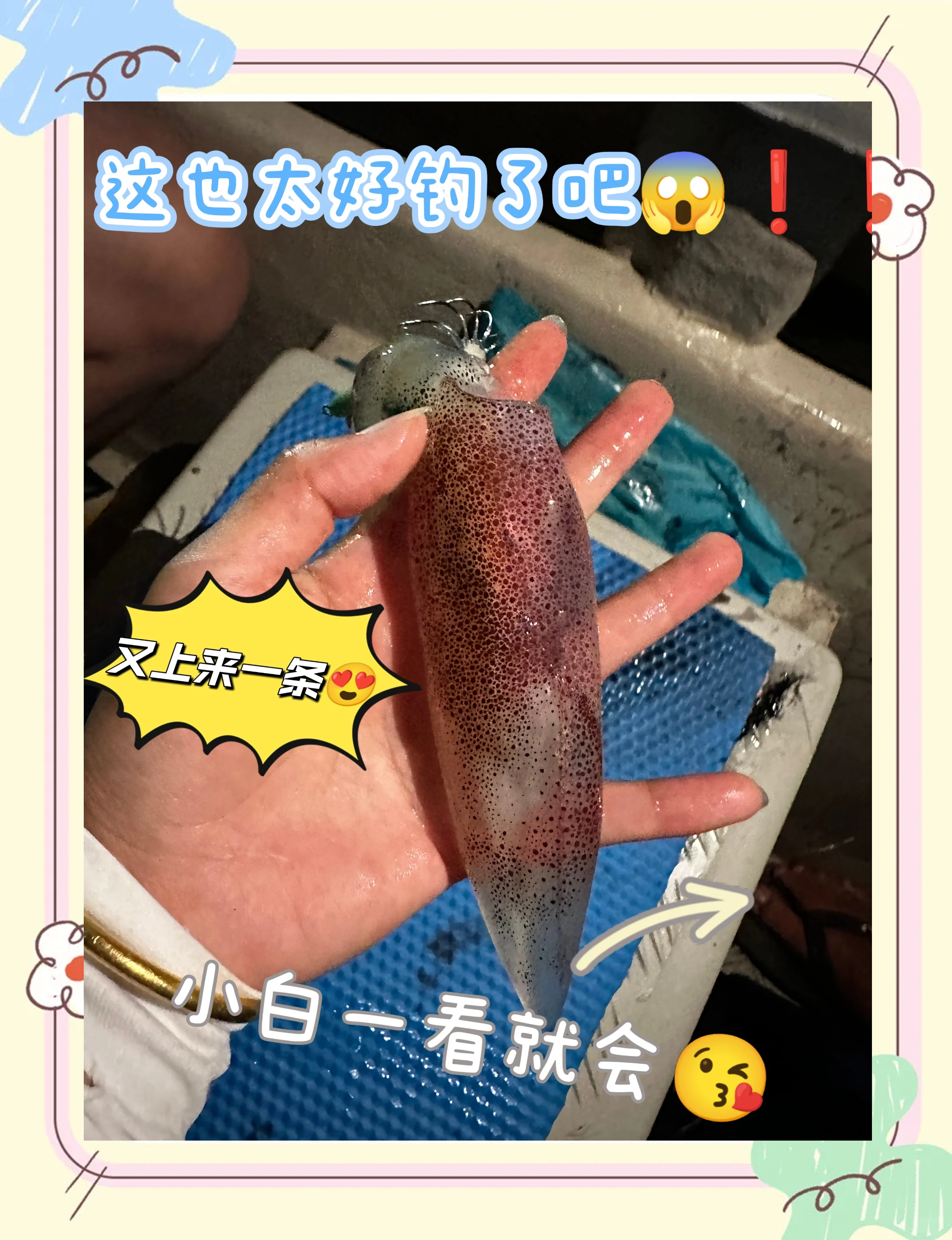 珠海钓鱿鱼季节(钓鱿鱼什么时候是旺季)