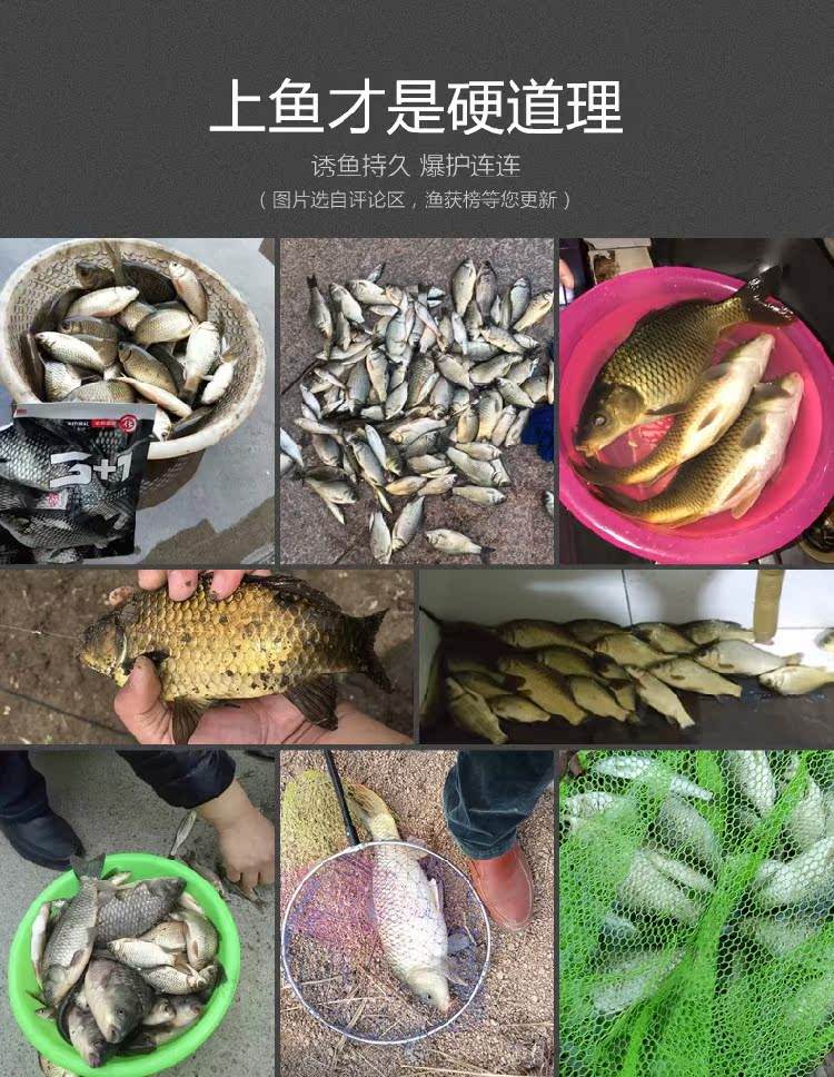 鲴鱼用什么饵料(鳊鱼用啥饵料)