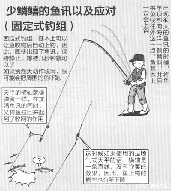 海钓入门视频教程(海钓基本教程)