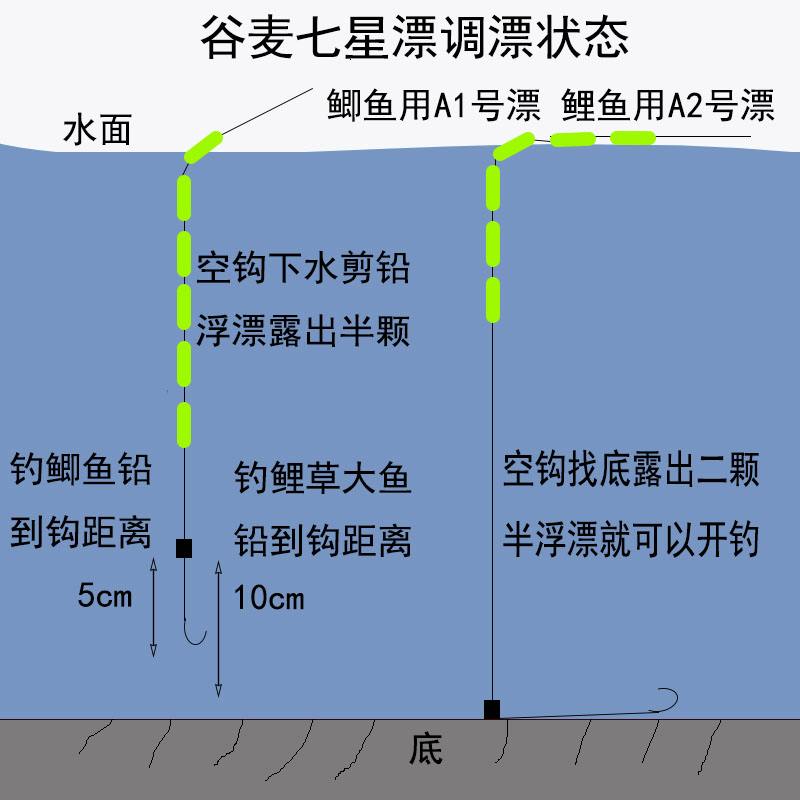 传统钓如何选用饵料(传统钓怎么选钓位)