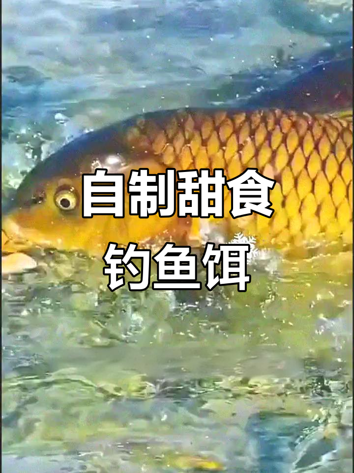 蜂蜜玉米饵料(蜂蜜玉米打窝)