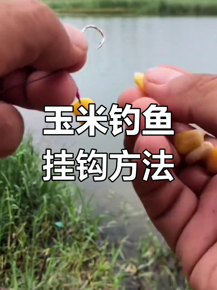 台钓遇到大鱼技巧(台钓钓大鱼技巧)