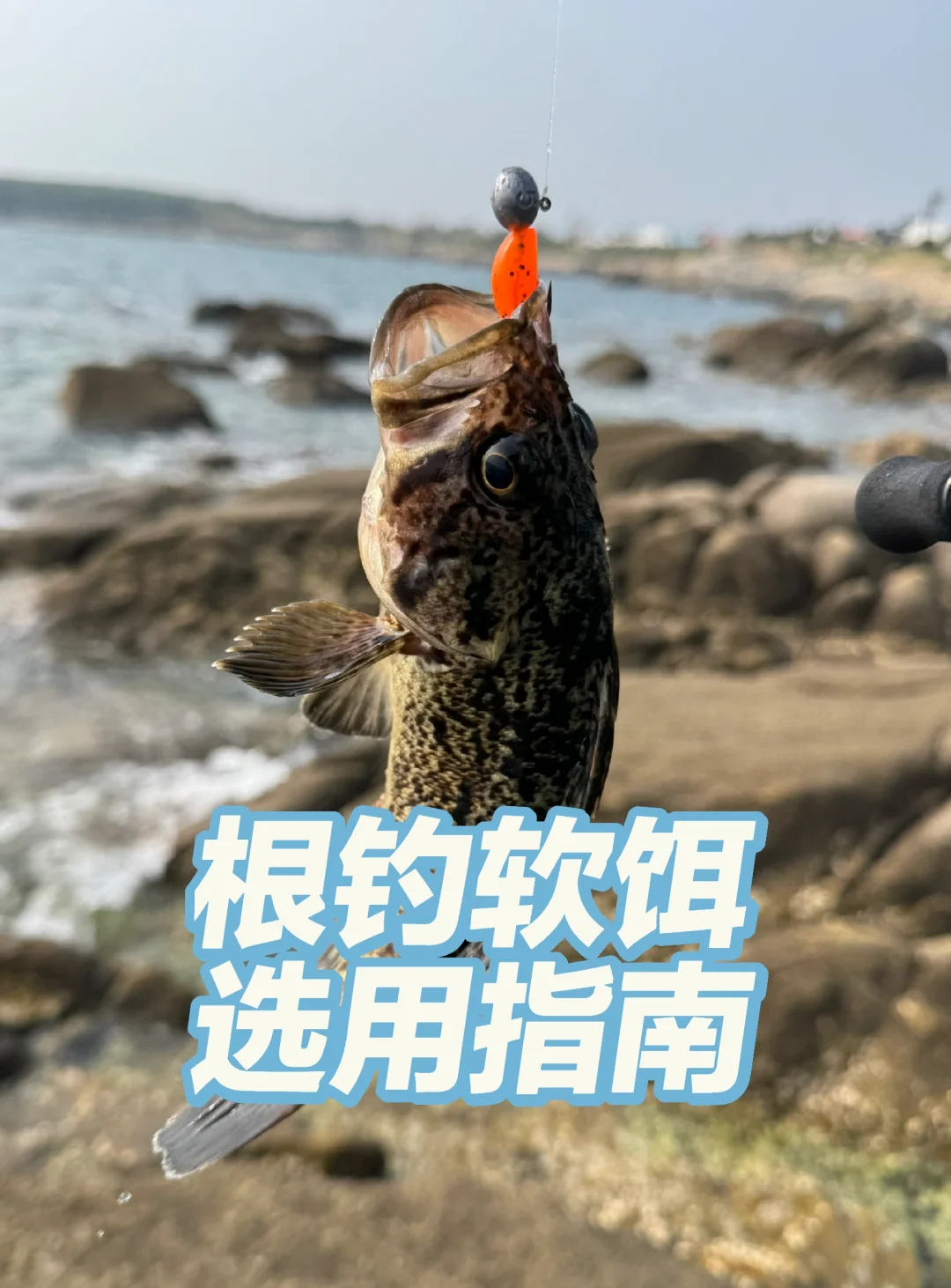 玉米制作海钓饵(玉米 海钓)