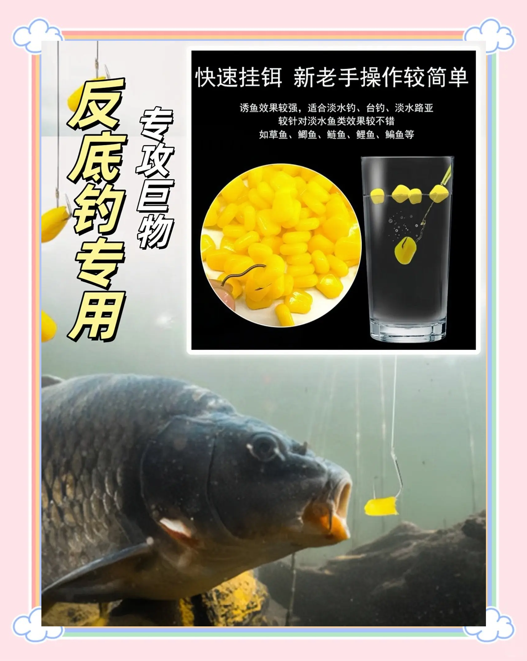 玉米制作海钓饵(玉米 海钓)