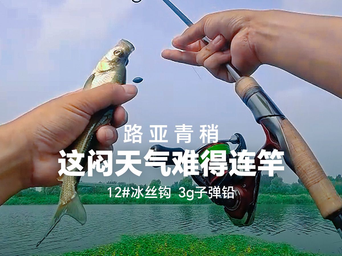 刮风天气路亚(刮风天路亚有影响吗)