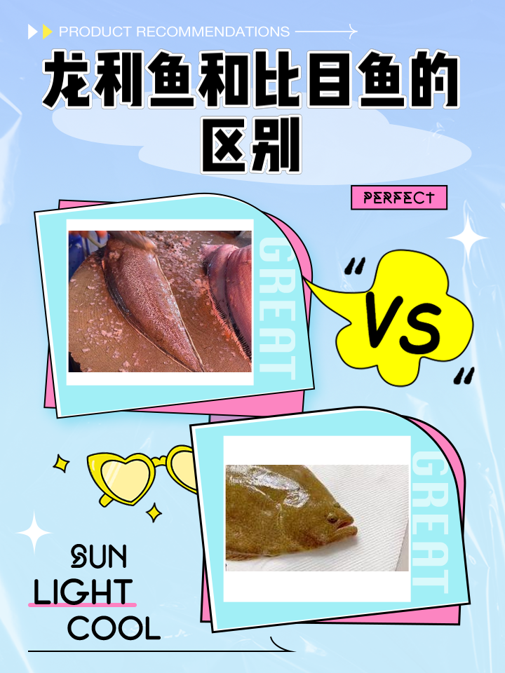 海钓比目鱼方法(海鱼比目鱼做法)