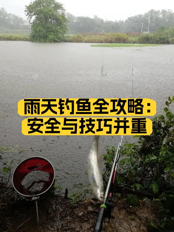 斜坡钓鱼技巧(斜坡怎么钓鲫鱼)