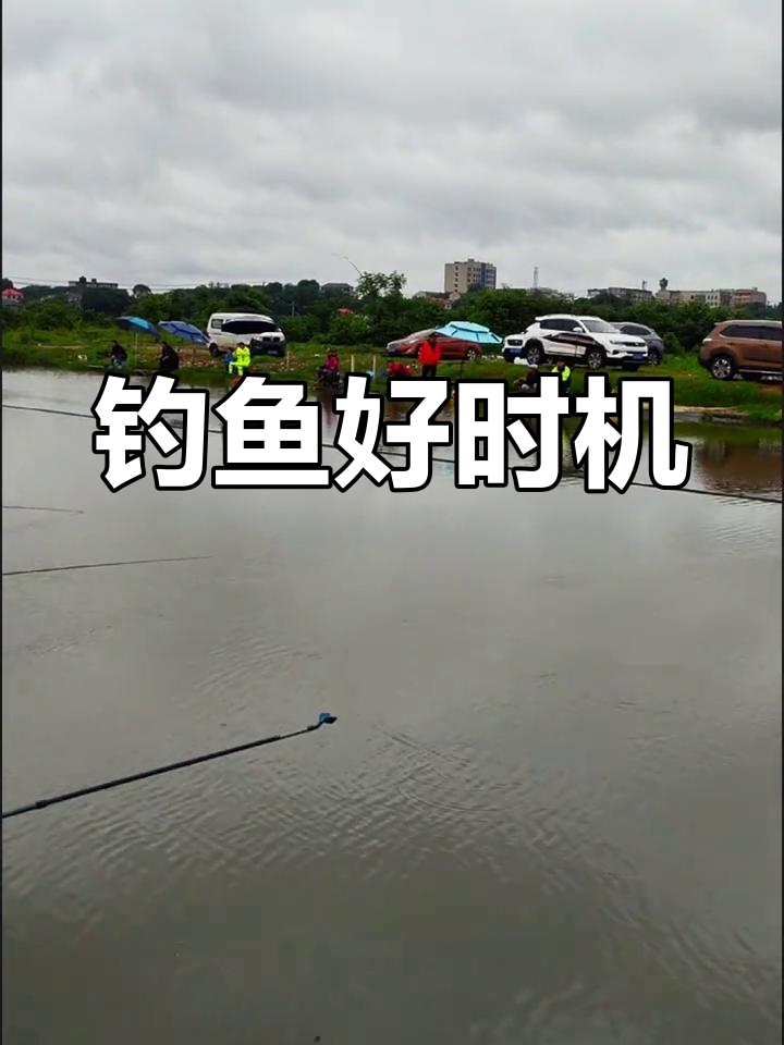 秋天阴天鱼塘钓鱼技巧(秋季阴天适合钓鱼吗有没有口)