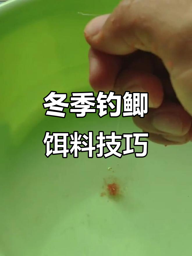 初冬商品饵料推荐(初冬饵料怎么搭配)