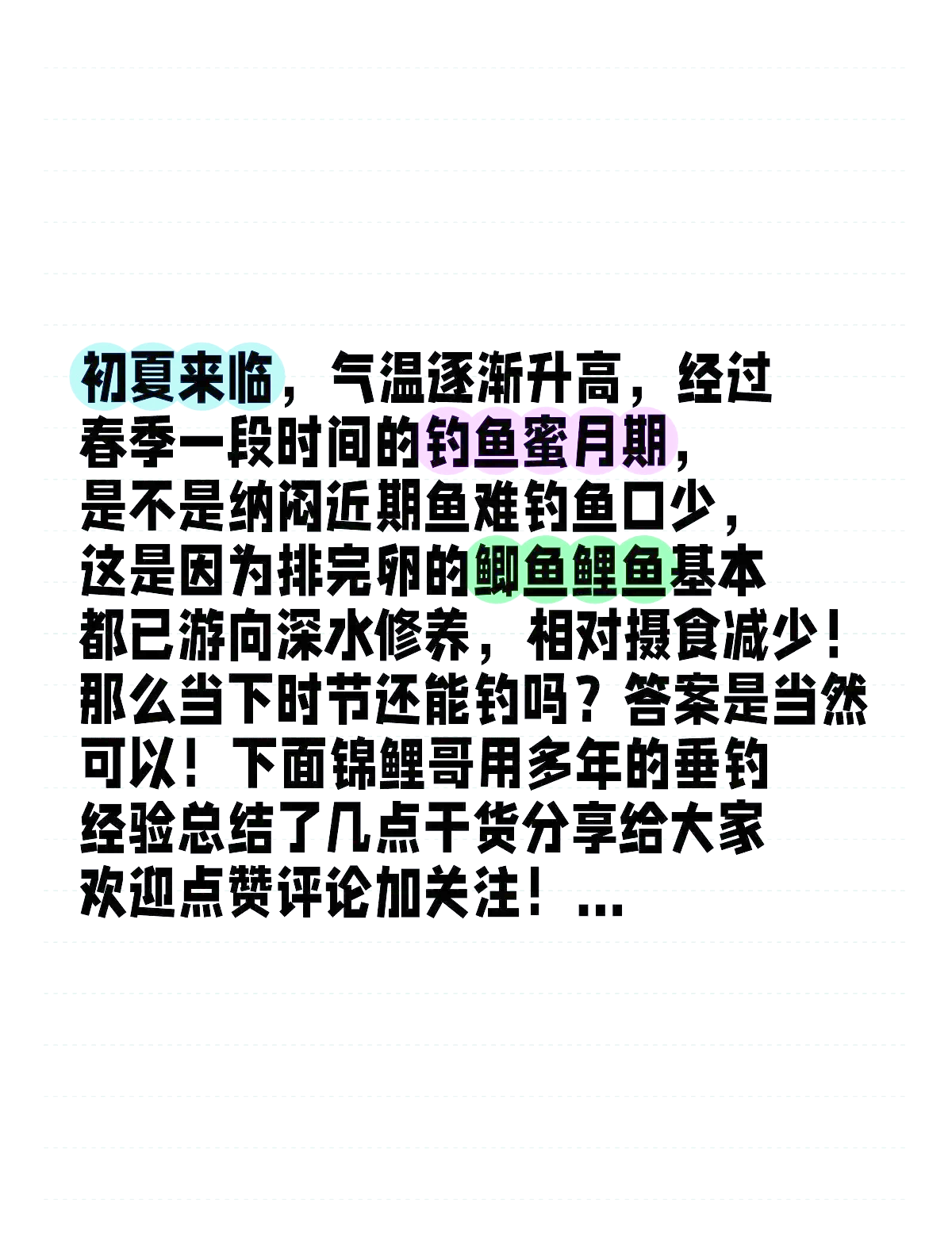 夏天钓鲫鱼用技巧(夏天钓鲫鱼用什么最好钓)