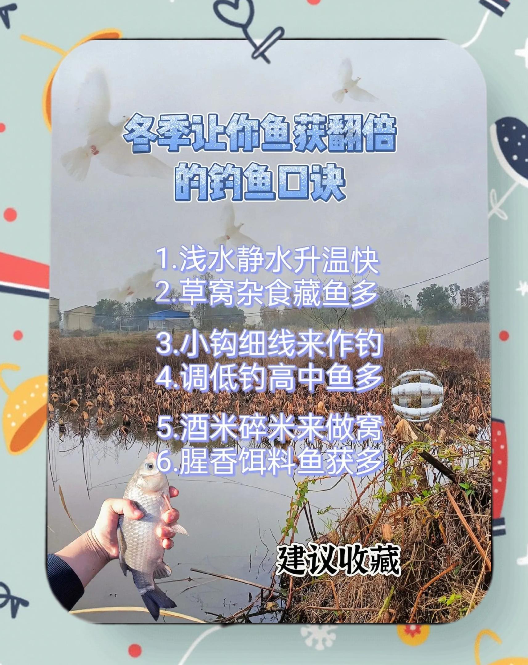 冬季钓鲫鱼鲤鱼技巧视频(冬季钓鲫鱼鲤鱼用什么方法最好)