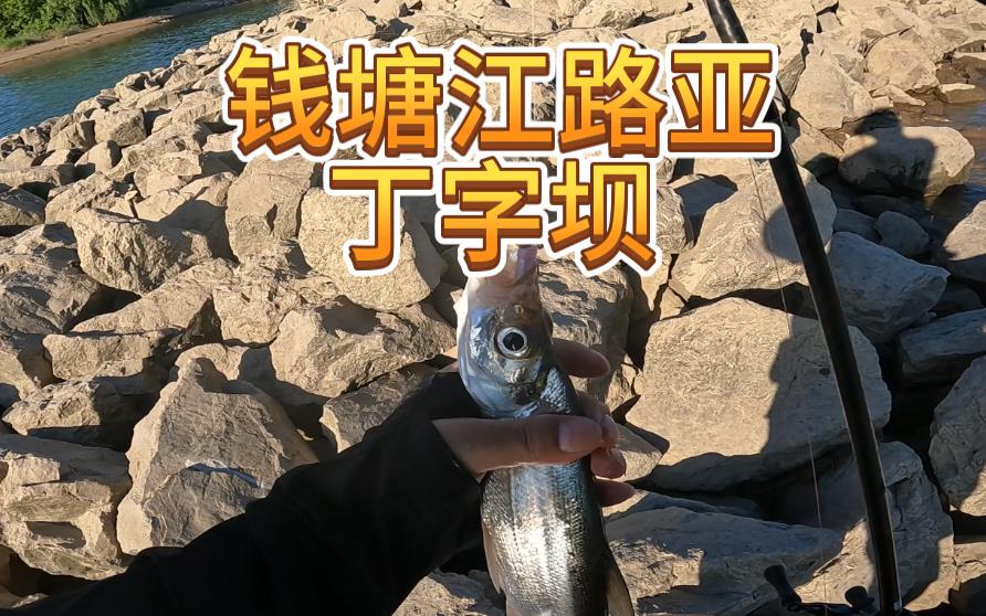 西塘路亚(塘栖路亚钓点)