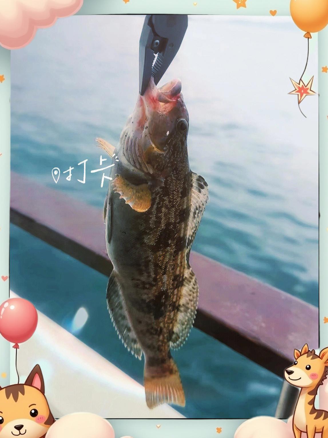黄骅港海钓吧(黄骅港口赶海的最佳地点)
