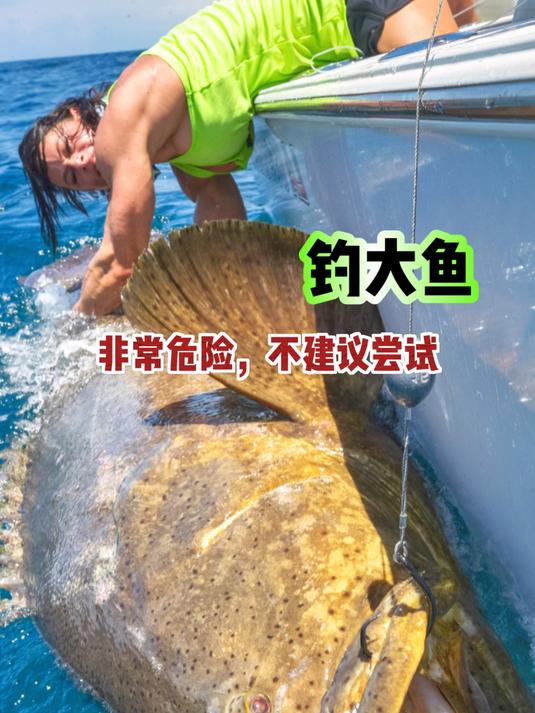 汕头海钓哪里有大鱼(汕头海钓地点)