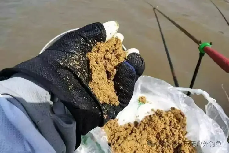 浮钓鳊鱼的技巧和方法(鲮鱼钓法浮标视频)