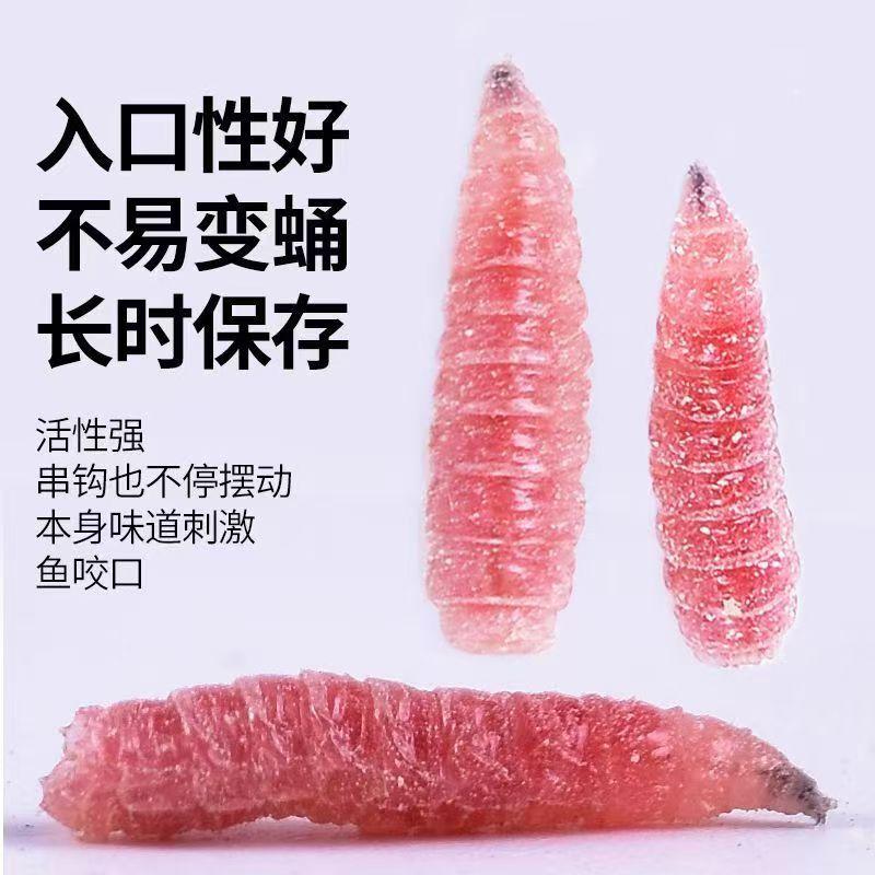 红虫饵料有没有毒(红虫饵能钓到鱼吗)