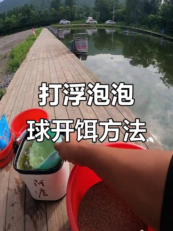 饵料球怎么钓(饵料球怎么钓鲫鱼视频)
