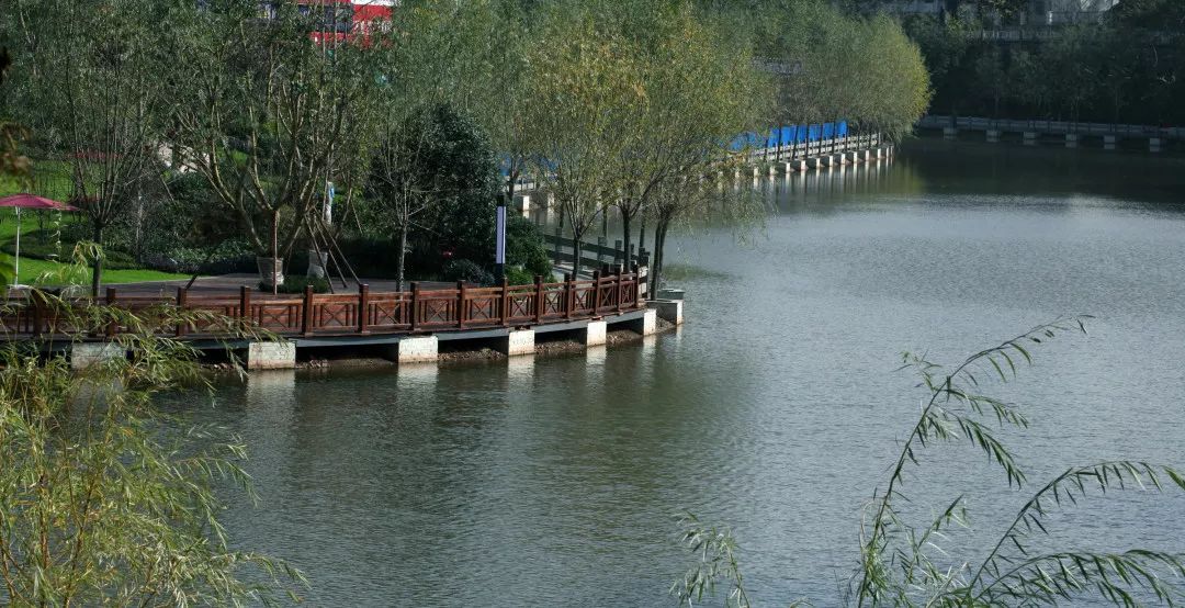 井研大佛水库路亚(为什么叫死水库)
