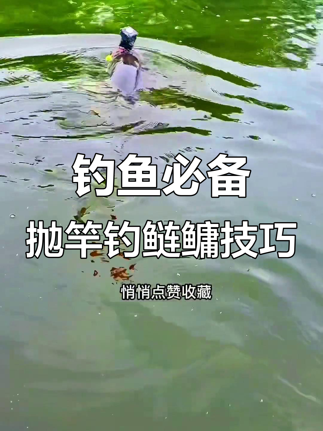 自然水域钓鲢鳙技巧(自然水域钓鲢鳙技巧视频)