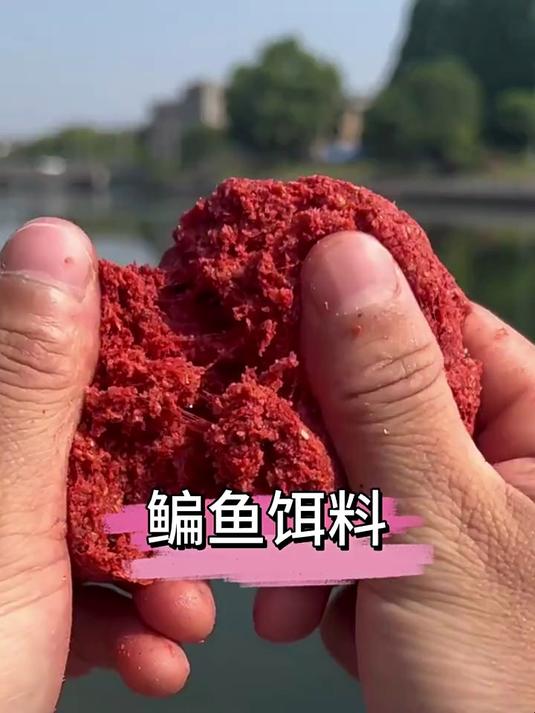 自己做钓鱼饵料(自做钓鱼饵料简单)