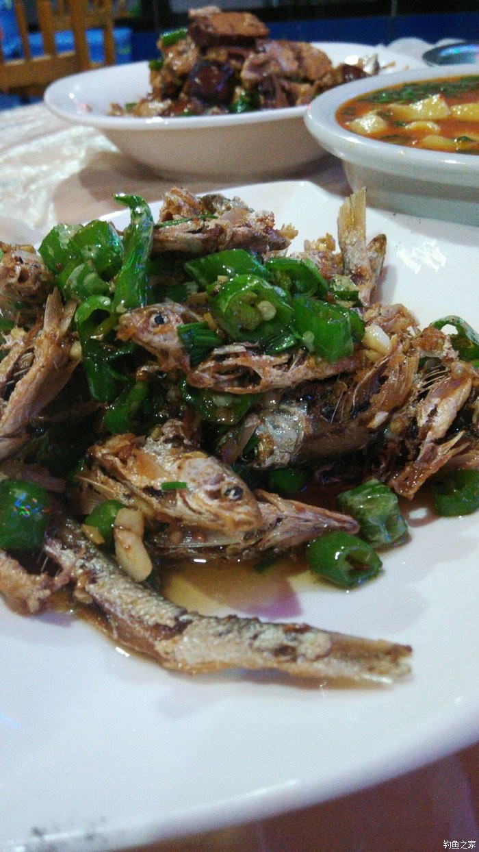 钓子鱼的饵料(鱼子钓鱼)