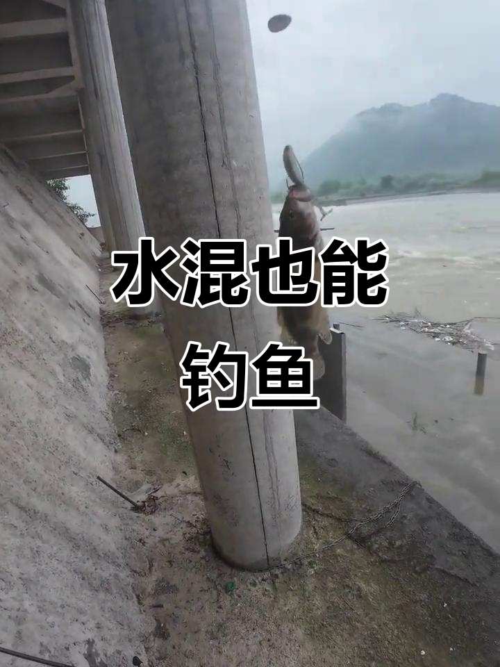 水浑怎么路亚白条技巧(水浑对路亚有影响吗)