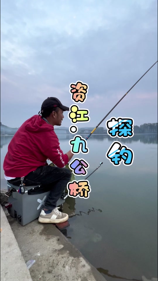 野塘夜钓技巧(野塘夜钓技巧视频)