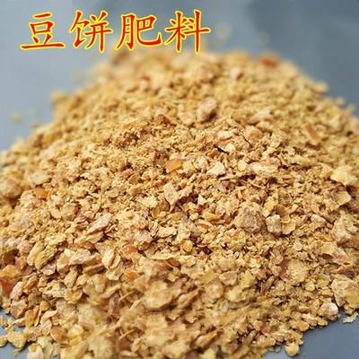 榨油后豆饼做饵料(榨完油的豆饼能做什么)