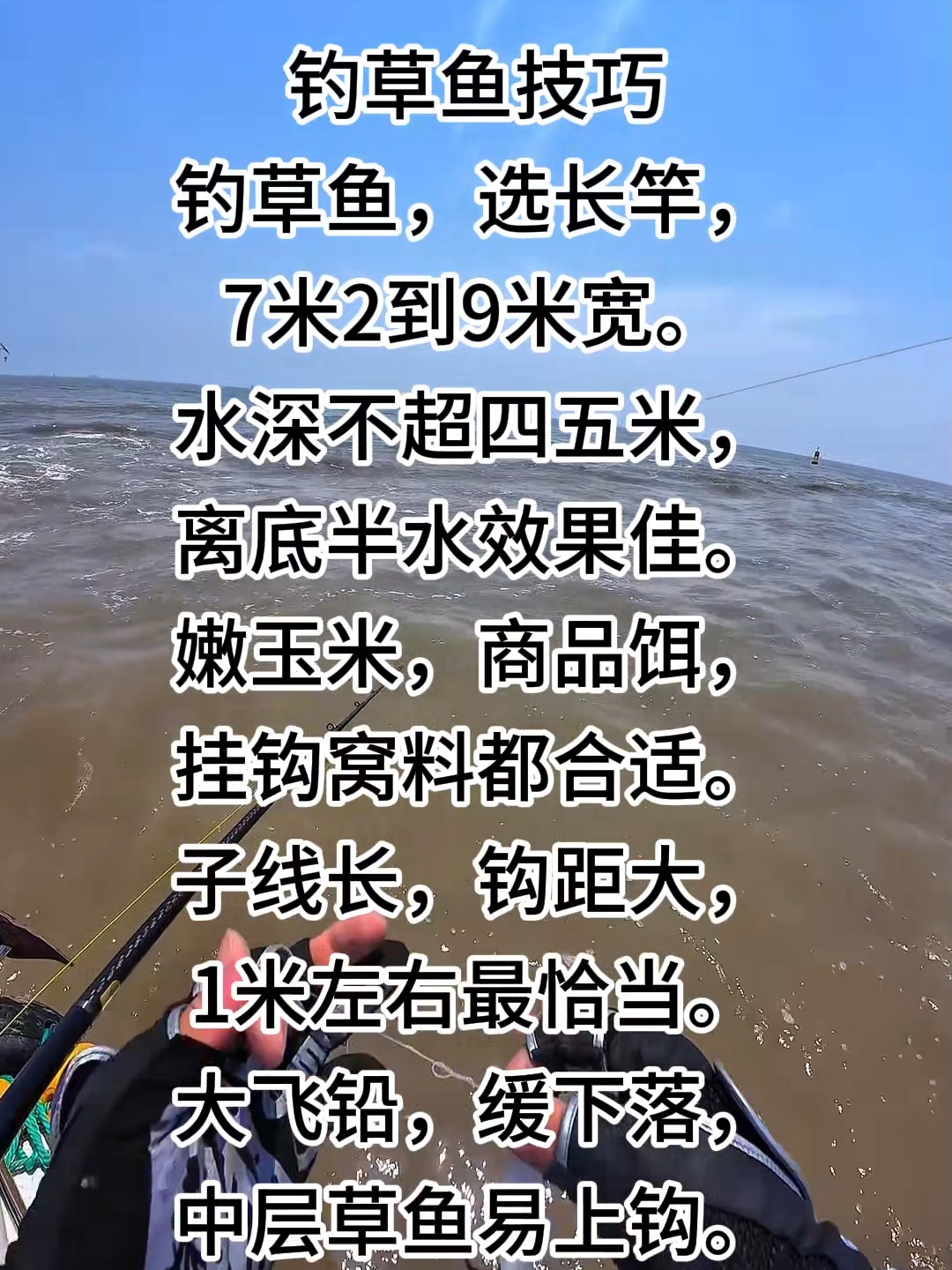夏季野钓草鱼技巧(夏季野钓草鱼的技巧)