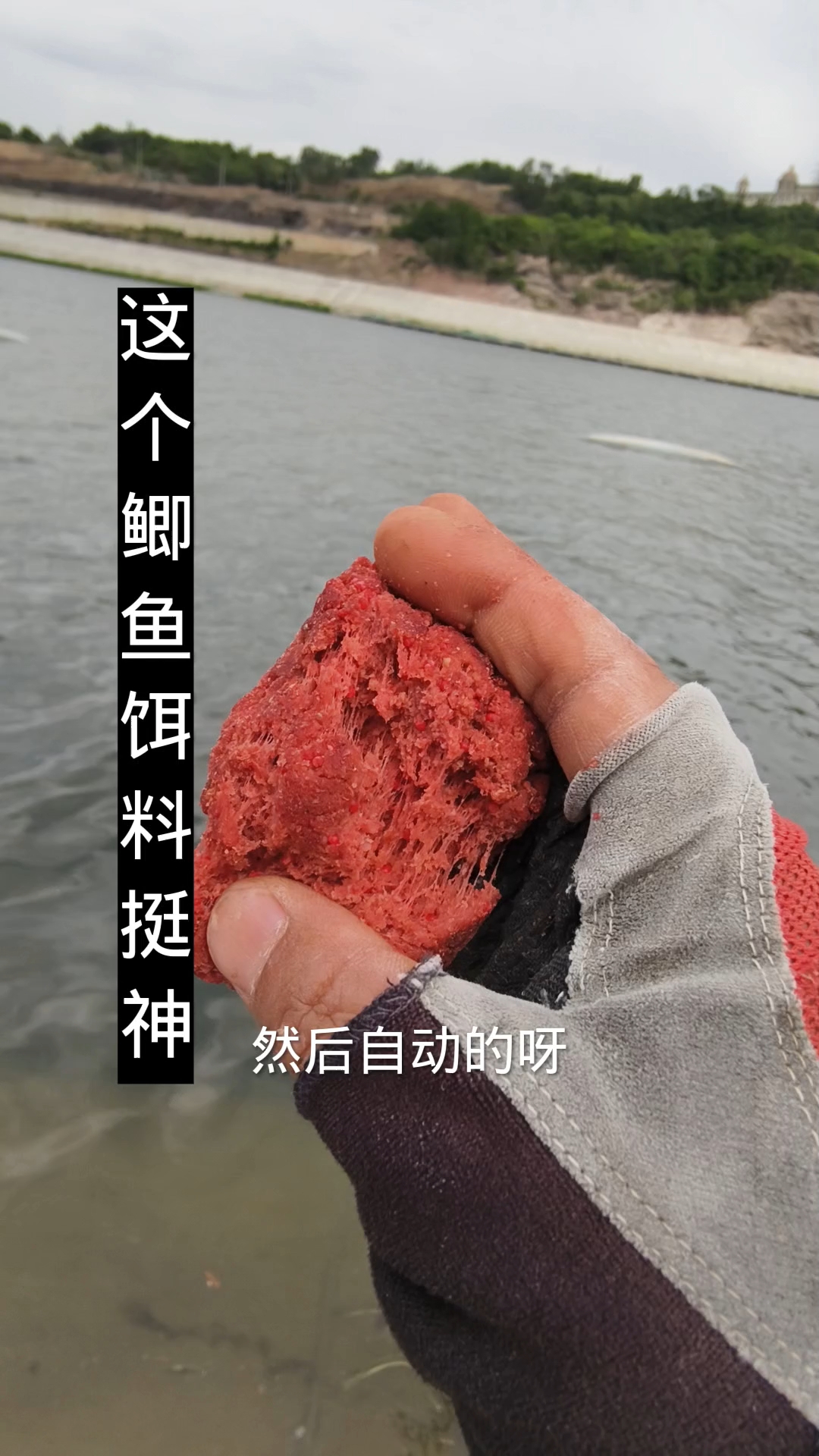 李大毛用全部饵料(李大毛用全部饵料钓鱼)
