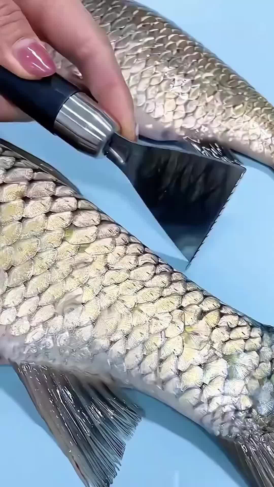 细鳞技巧(冰糖放多久不能吃)