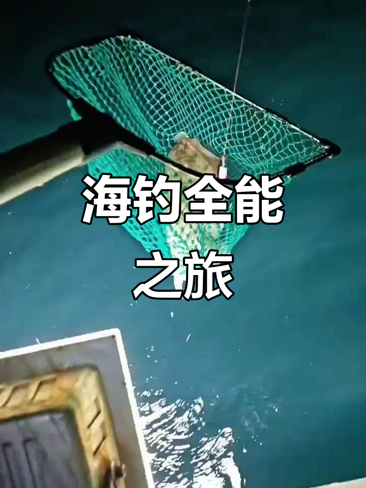 海钓远投沉底钓鱼(海边远投钓组)