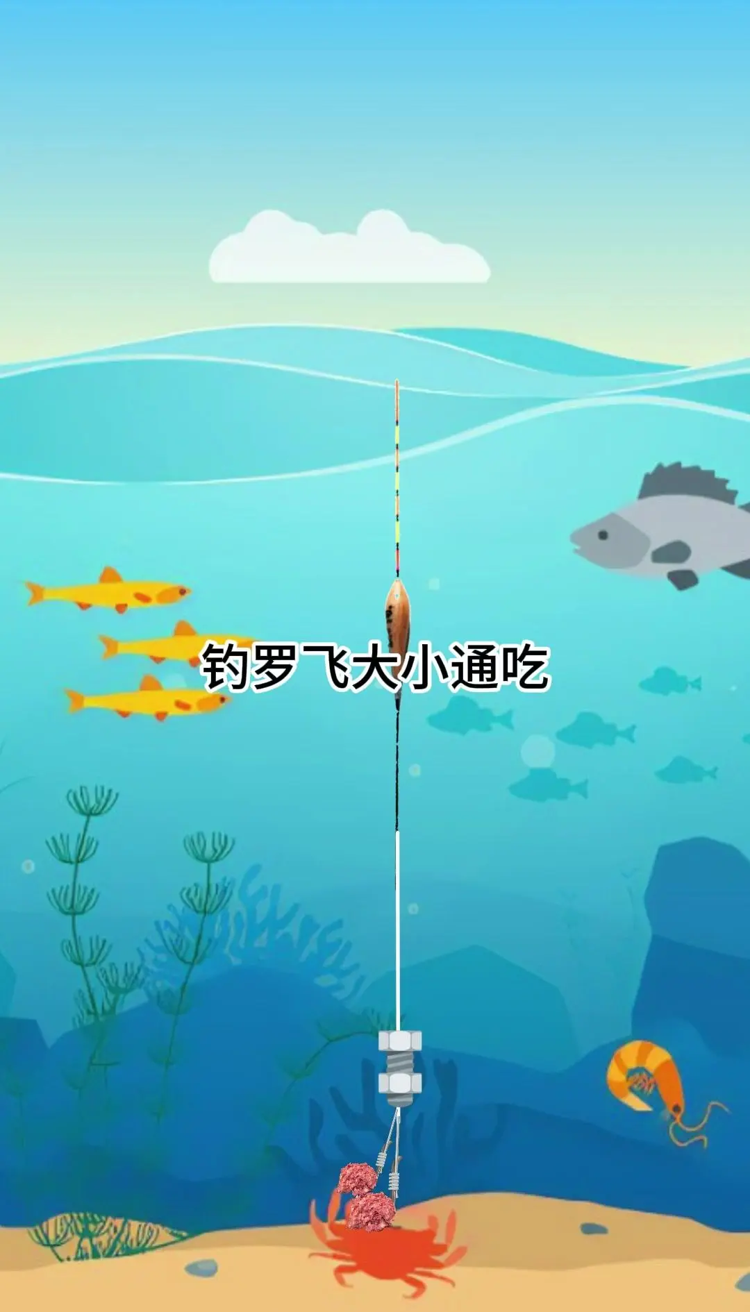 台钓罗非鱼技巧视频(台湾人钓罗非视频)