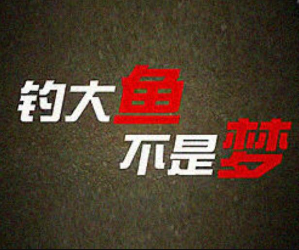 四海钓鱼全集(四海钓鱼频道免费完整版)