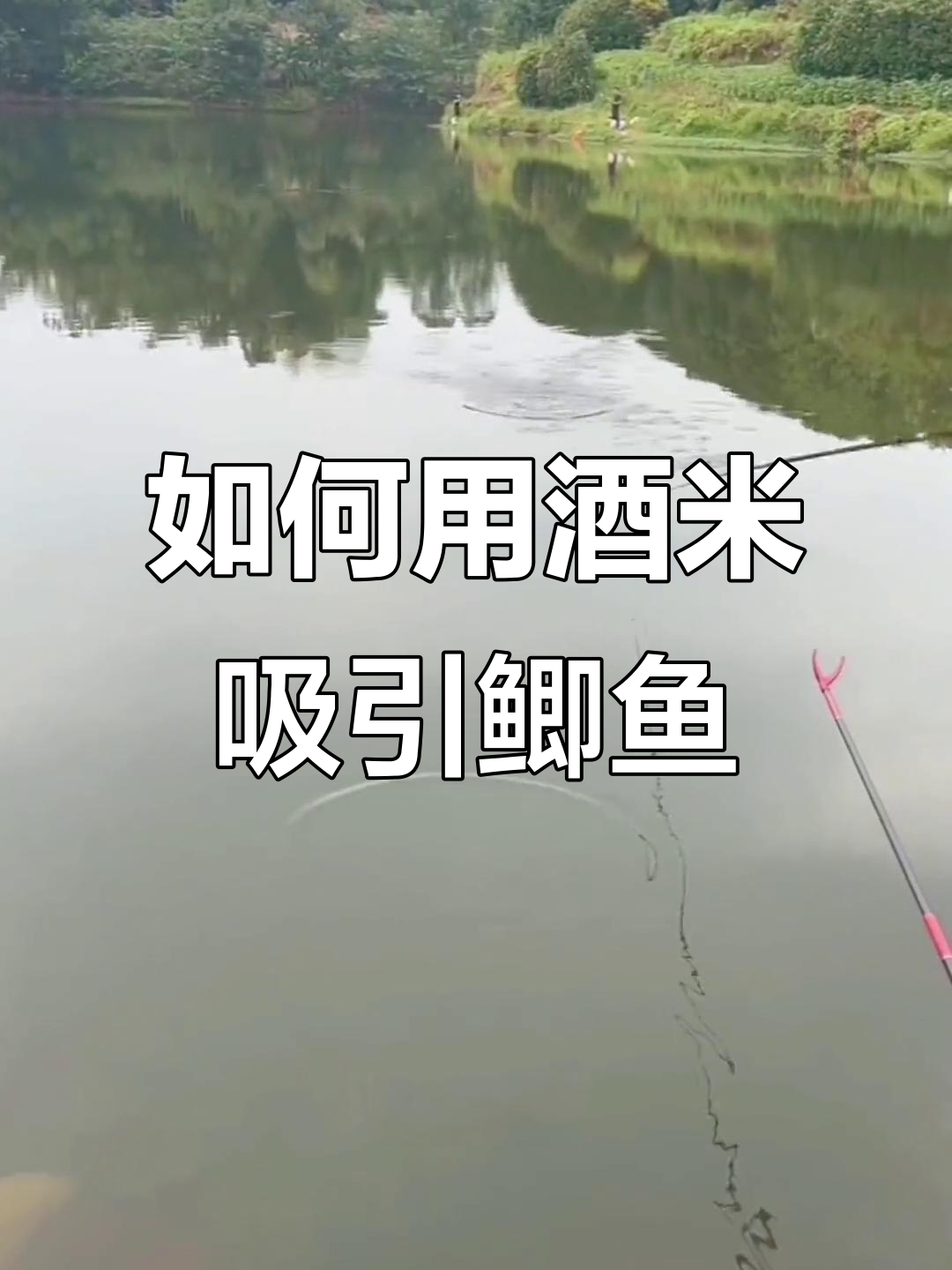 鲫鱼水库打窝技巧(水库鲫鱼钓法)