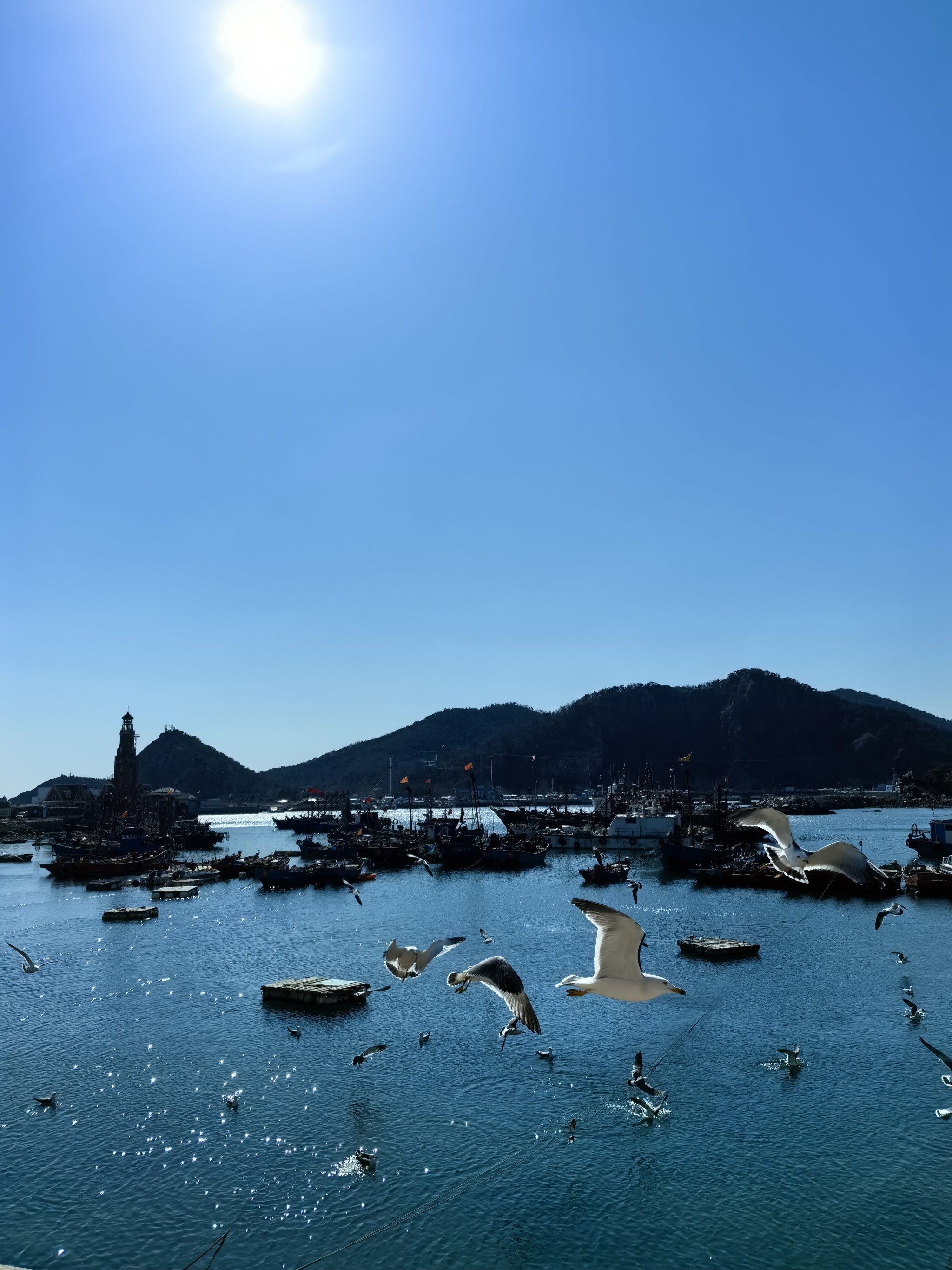 大连最大的渔具(大连哪里卖渔具最便宜)