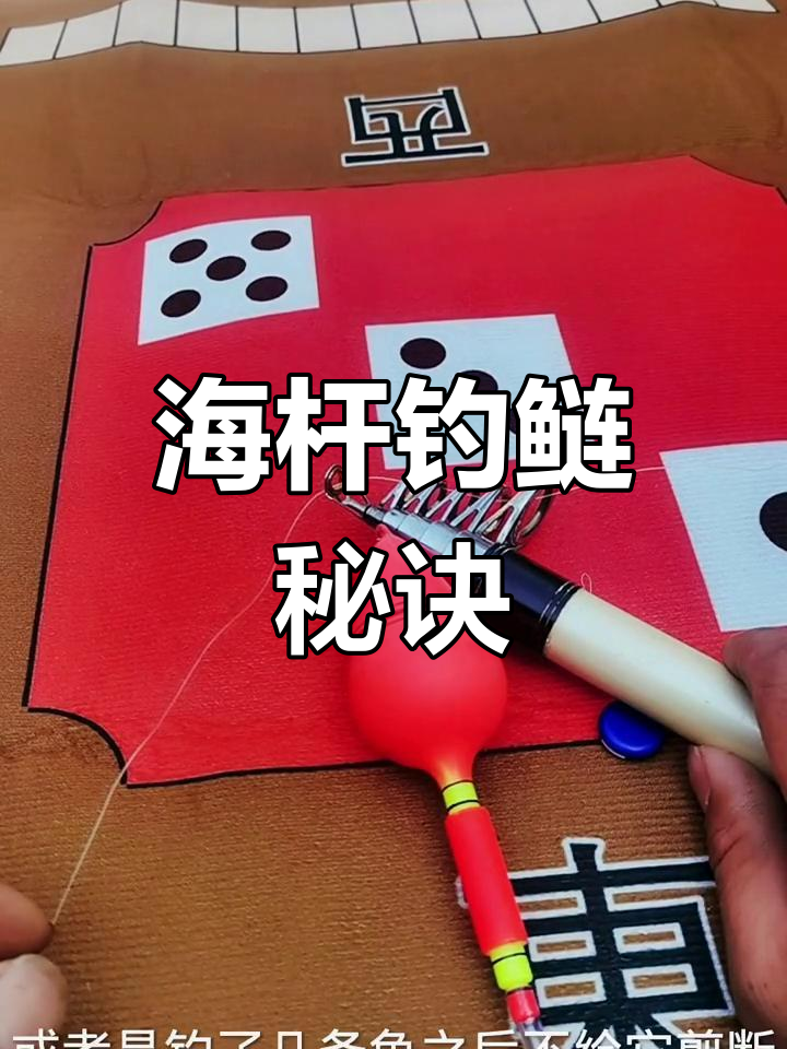 钓鱼钓鱼技巧钓鲢鱼(如何钓鲢鱼 钓鱼人必看)