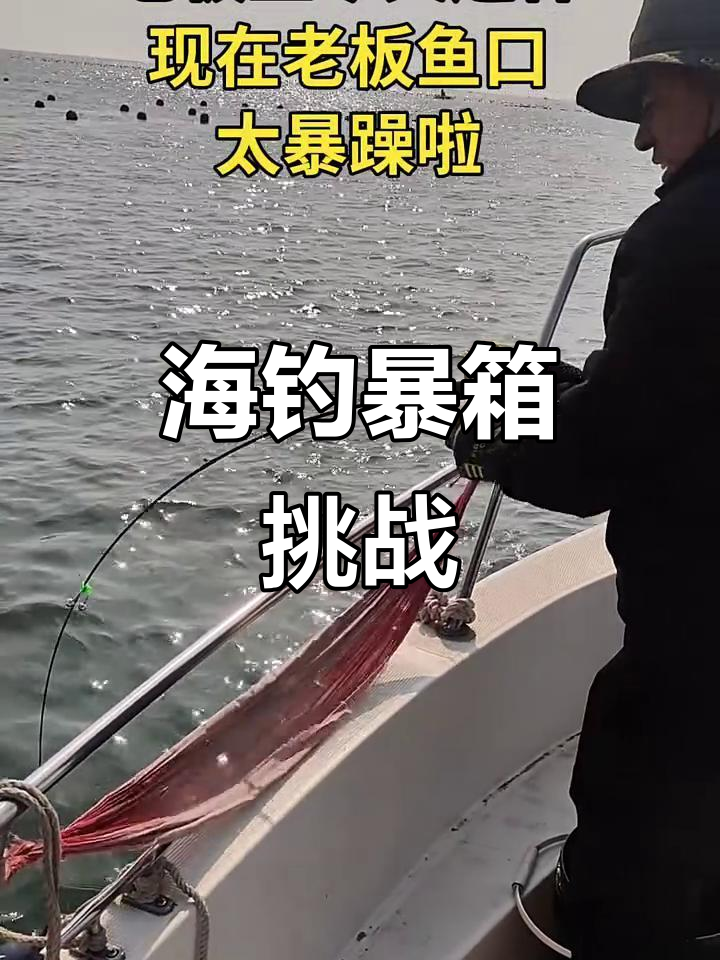 大连海钓要多少钱(大连海钓汇报)