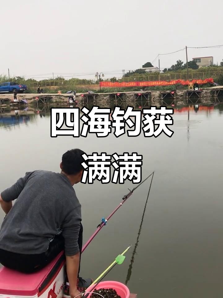 四海钓鱼6(四海钓鱼频道免费收看)