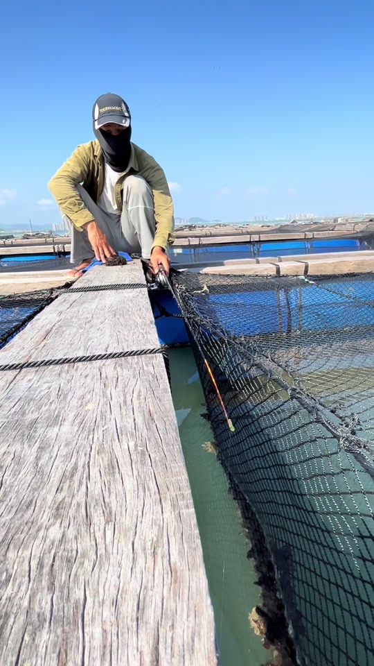 海钓金鼓鱼的技巧(金鼓鱼钓底还是钓浮)
