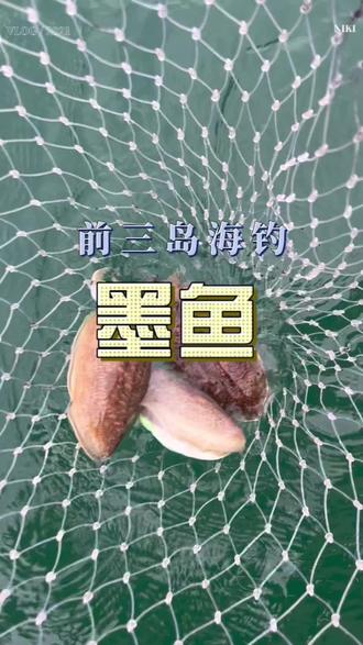 连云港海钓攻略(连云港海钓联系方式)