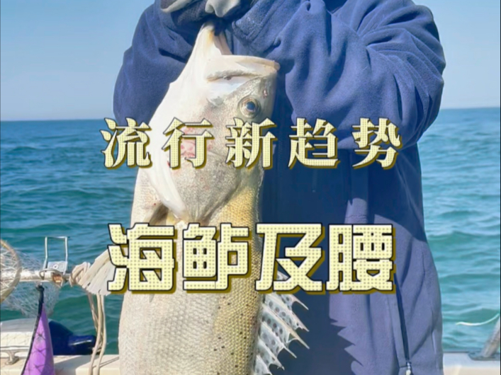 连云港海钓攻略(连云港海钓联系方式)