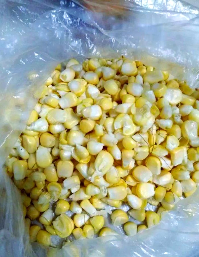 鲜玉米做饵料(鲜玉米做饵料要加什么)