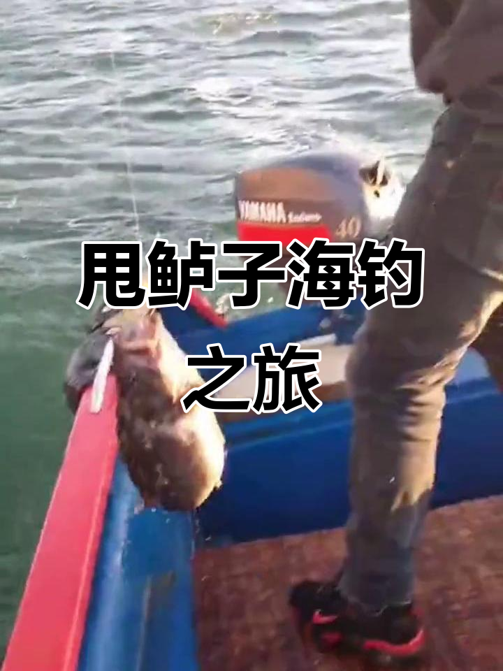 路亚ml海钓(路亚ul海钓)