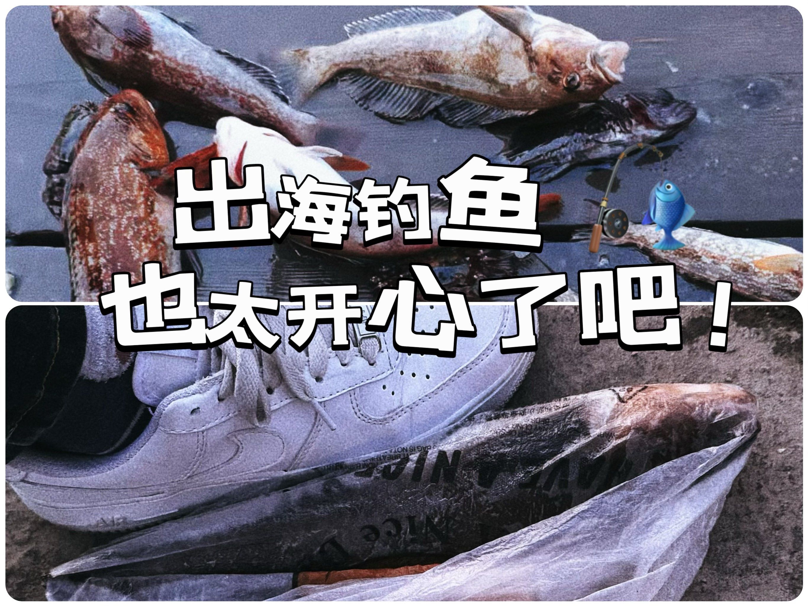 大连五一海钓鱼种(大连五一海边能钓鱼吗)