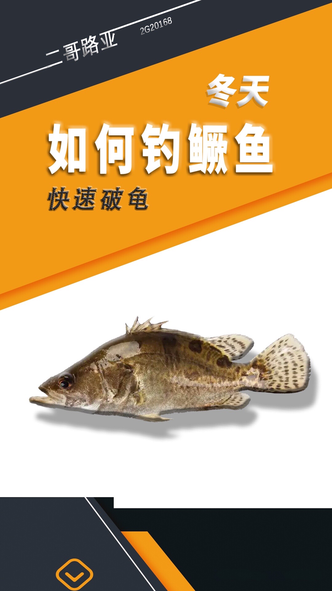 路亚鳜鱼多长竿(路亚鳜鱼多长杆比较好)