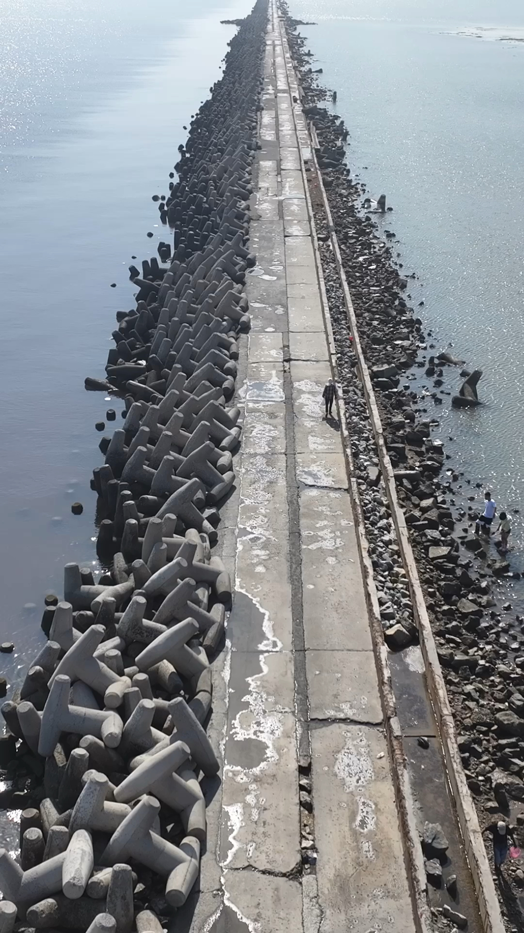 孤东海堤路亚(东营孤东海堤位置)