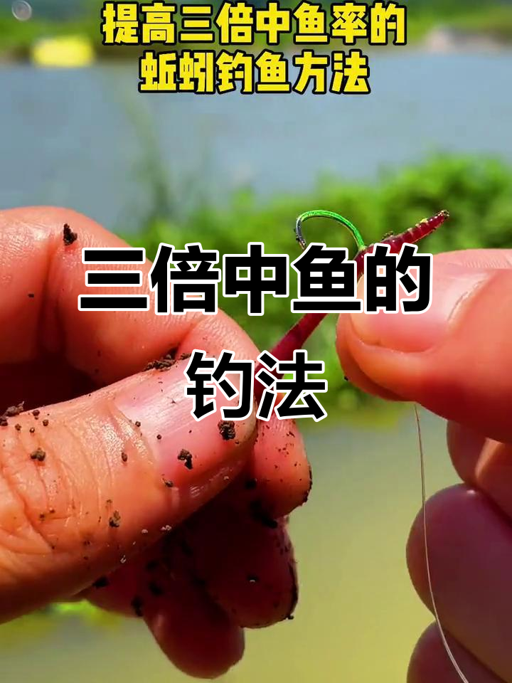 野钓蚯蚓钓鱼技巧(野钓蚯蚓的挂法图片)